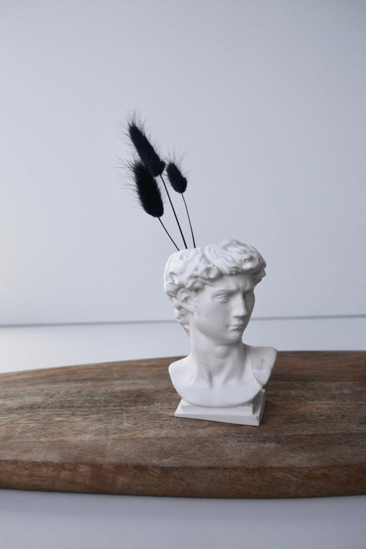 David statue